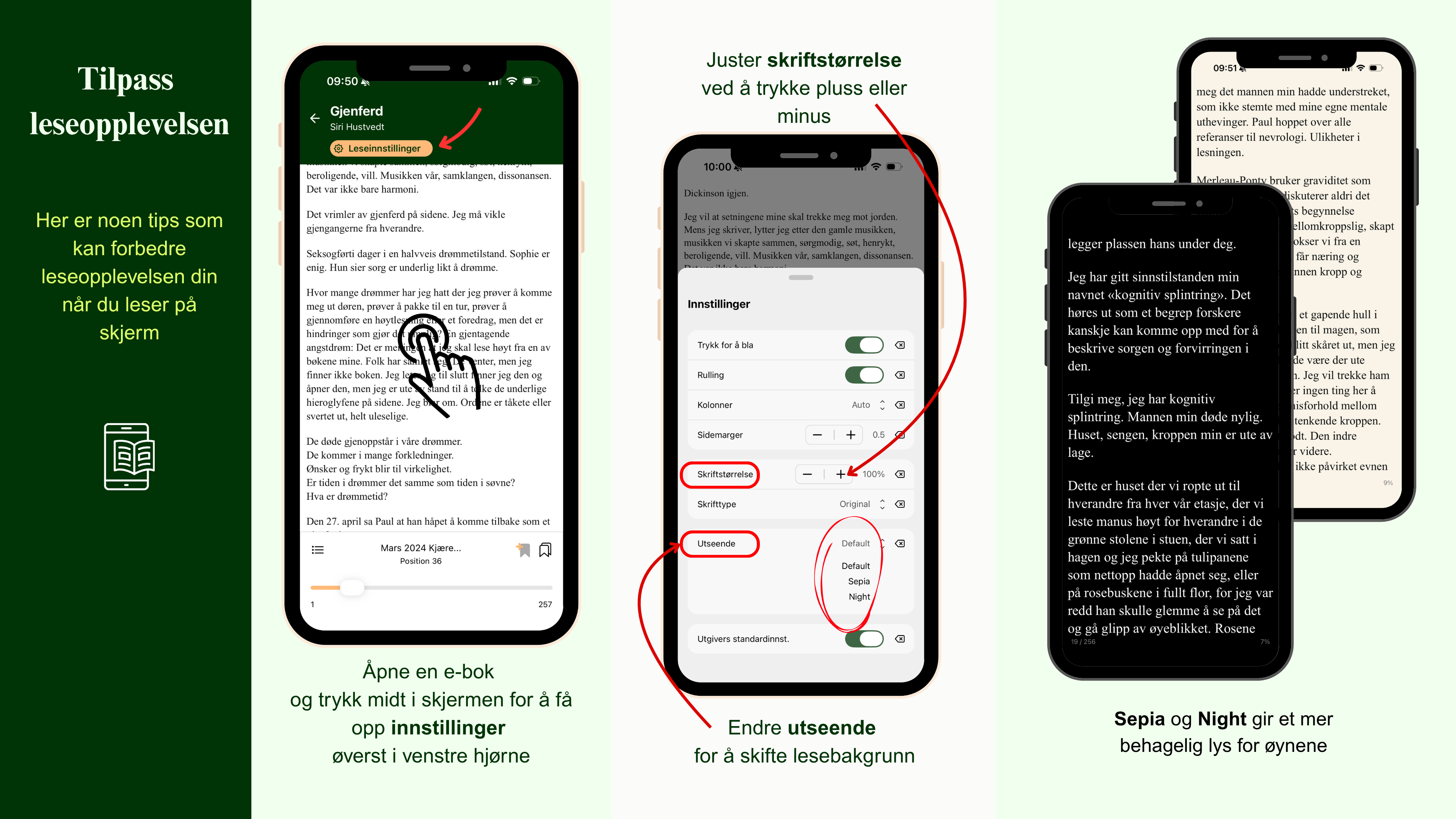 Leseinnstillinger e-bok.png