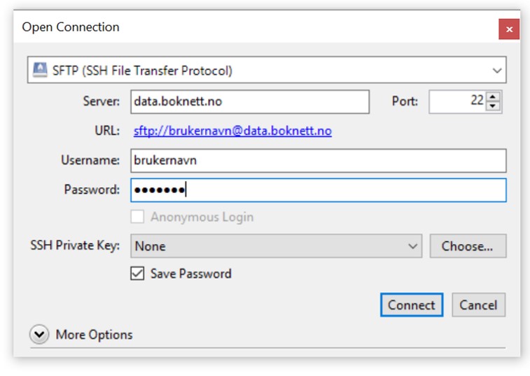 SFTP_logg_pa.jpg